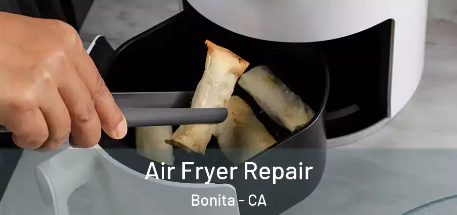  Air Fryer Repair Bonita - CA