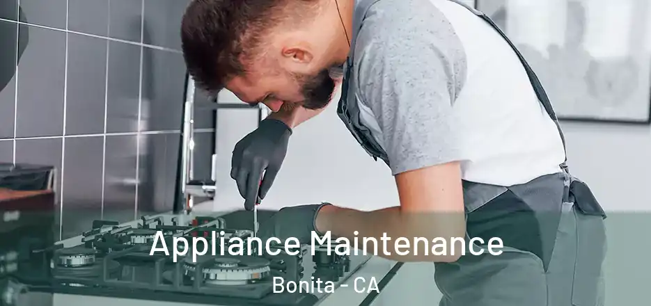  Appliance Maintenance Bonita - CA
