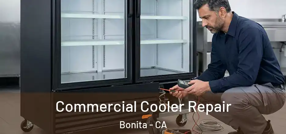 Commercial Cooler Repair Bonita - CA