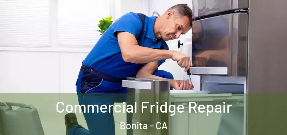 Commercial Fridge Repair Bonita - CA