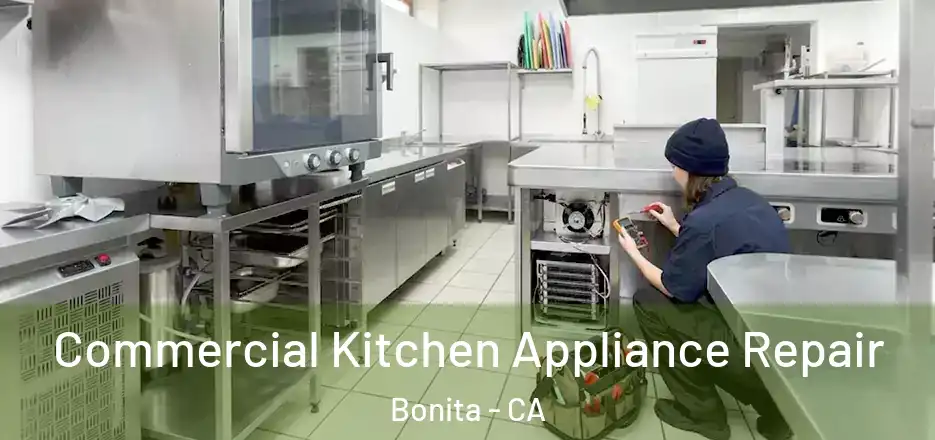 Commercial Kitchen Appliance Repair Bonita - CA