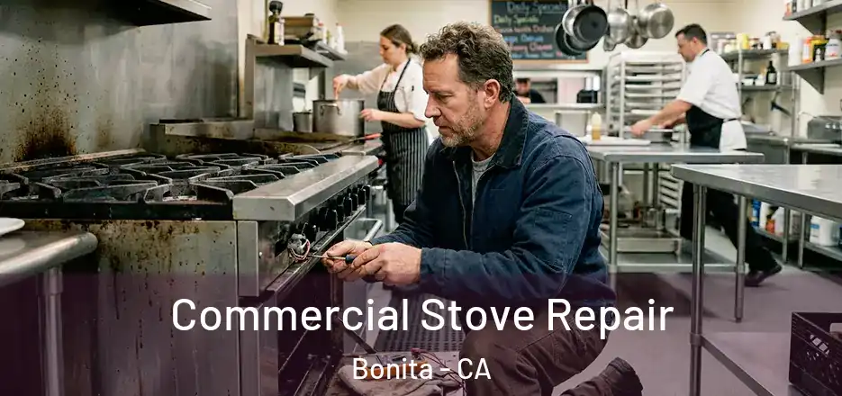 Commercial Stove Repair Bonita - CA