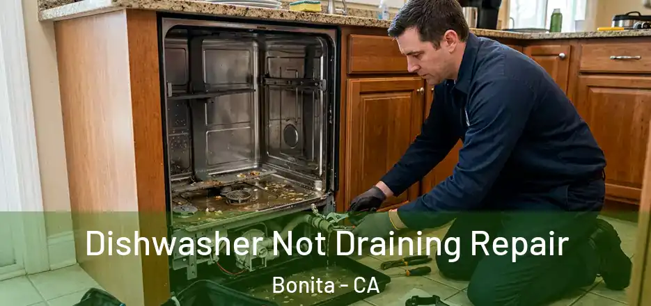  Dishwasher Not Draining Repair Bonita - CA