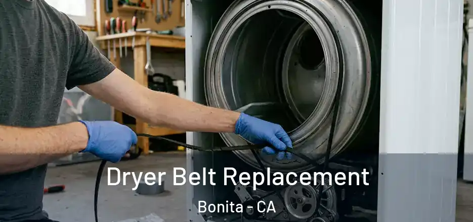  Dryer Belt Replacement Bonita - CA