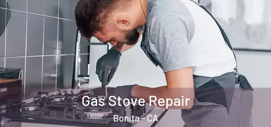 Gas Stove Repair Bonita - CA