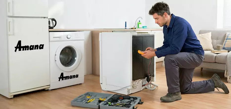 Amana Troubleshooting in Bonita