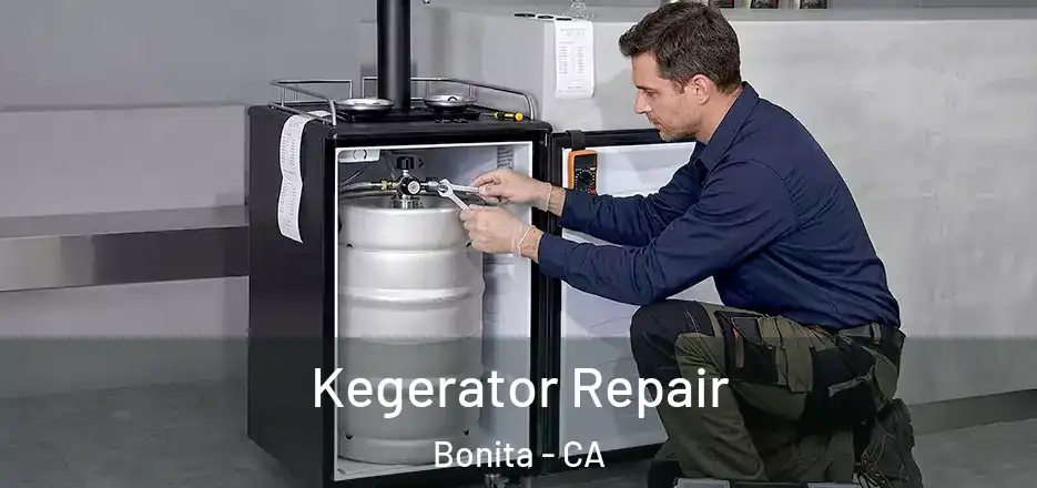  Kegerator Repair Bonita - CA