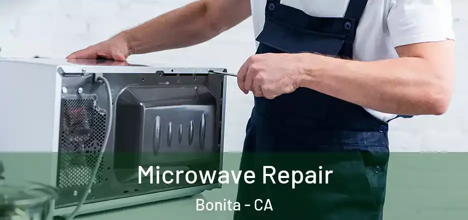  Microwave Repair Bonita - CA