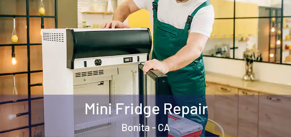  Mini Fridge Repair Bonita - CA
