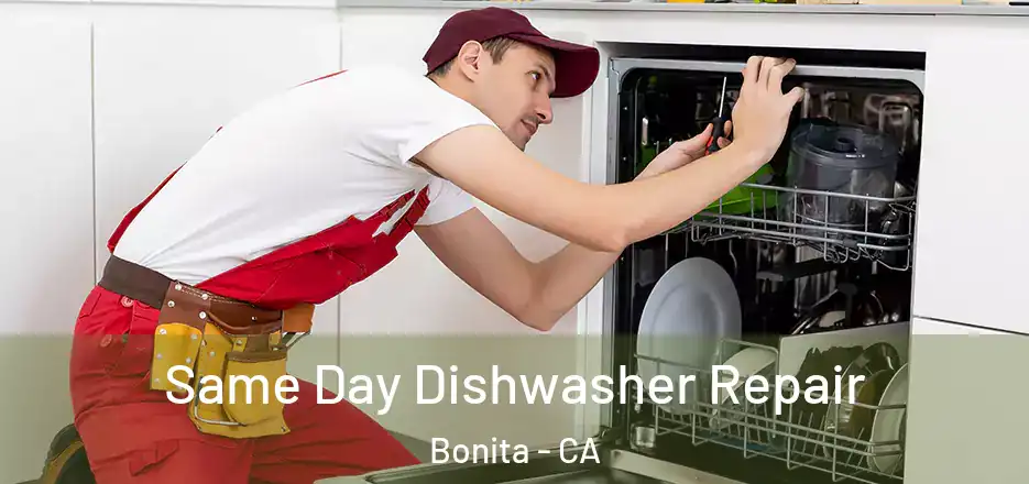  Same Day Dishwasher Repair Bonita - CA