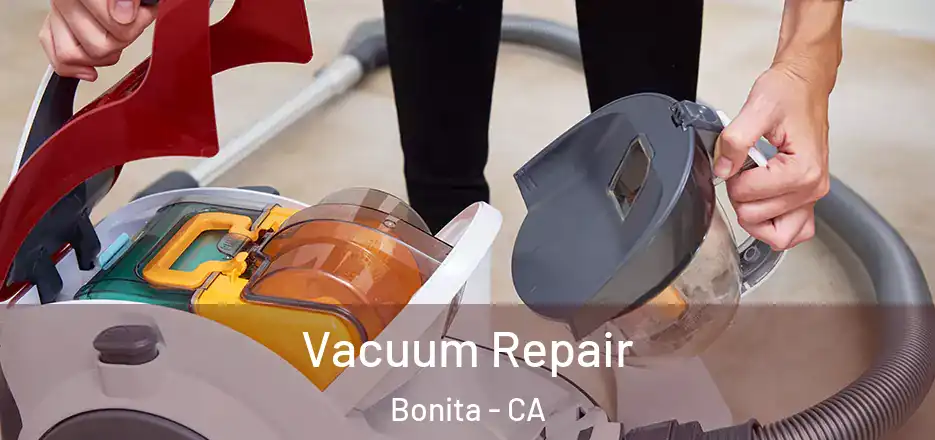 Vacuum Repair Bonita - CA