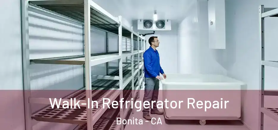 Walk-In Refrigerator Repair Bonita - CA