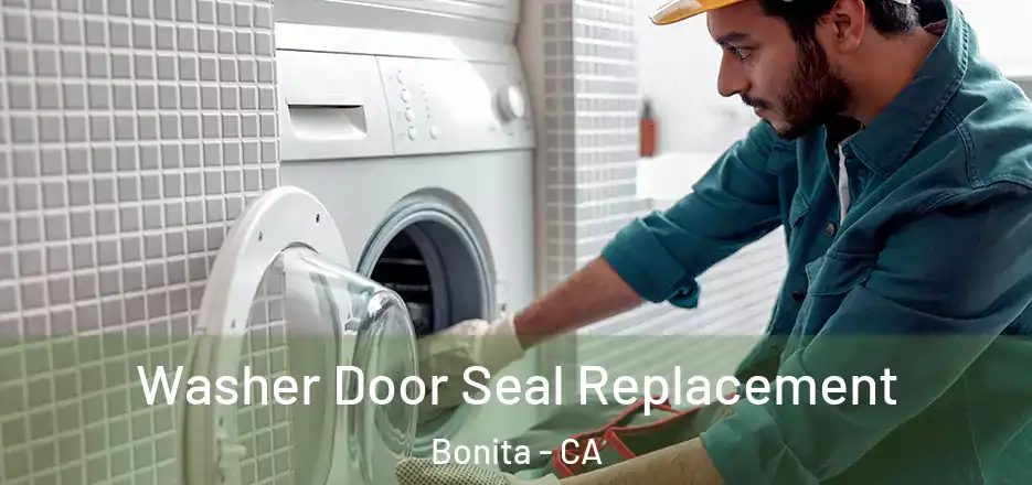  Washer Door Seal Replacement Bonita - CA