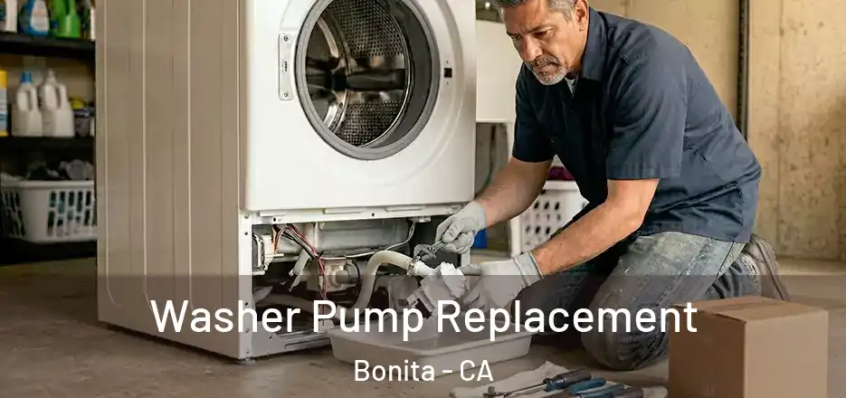  Washer Pump Replacement Bonita - CA